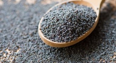 Türkiye'nin gıda ihracatına hububat damgası