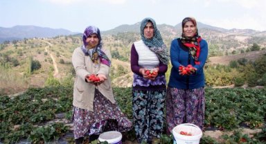 Başkan Aykurt duyurdu: Kırsalda üretim yapana müjde!