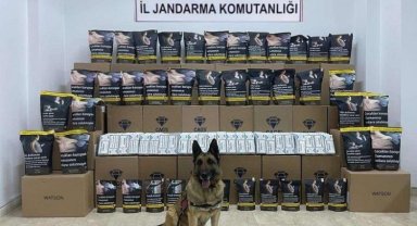 Bingöl'de kaçak tütüne 1 gözaltı