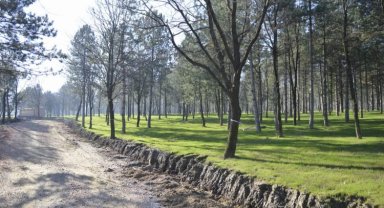 Bursa'da 'Yeşil Yıldırım' hamlesi