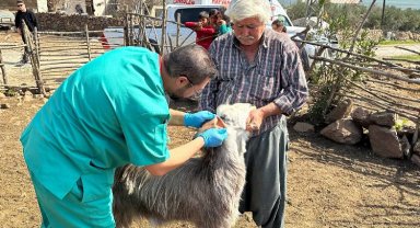 Hatay'daki üreticilerin hayvanlarına muayene