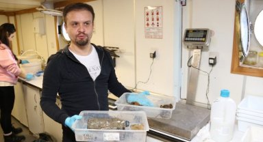 İzmit Körfezi'nde deniz yaşamı kayıt altında