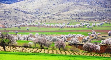 Mardin Yeşilli'de renk cümbüşü