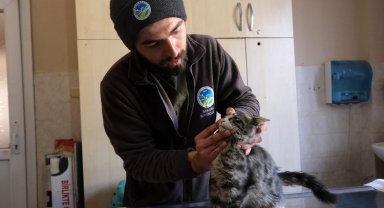 Sakarya'nın veteriner ekibi Antakya'da can dostlarının yanında