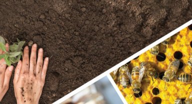 Tarımda 'Uzman Eller' başvuruları başladı... 250 bin liraya kadar yüzde 100 hibe