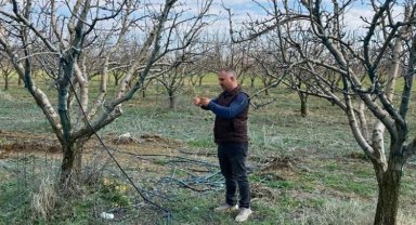 TARSİM'in destek prim oranı belirlendi