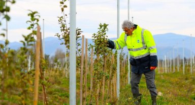 Yüksek teknolojiyle yükselen Sakarya