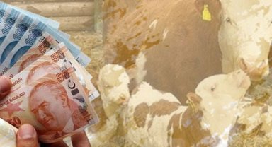 1,4 milyar TL'lik tarımsal destek bugün hesaplarda