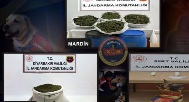 3 ildeki uyuşturucu operasyonu 4 şüpheli yakalandı