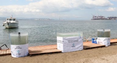 6 bin yavru balık Körfez'e salındı