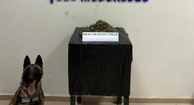 Bingöl'de uyuşturucu madde ticaretine 1 tutuklama