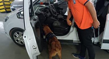 Bomba arama köpeği 'Niobe' göreve hazır