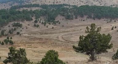 Eşeler Yaylası yok olma tehlikesi yaşıyor!