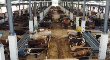 İnegöl Hayvan Pazarı Kotra ihale tarihi açıklandı