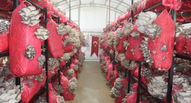 İzmit yılın ilk hasadını gerçekleştirdi