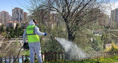Kayseri Talas'ta sinek ve haşerata erken önlem
