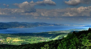 Sakarya'dan müjdeli haber geldi... Maksimum seviyeye yaklaştık