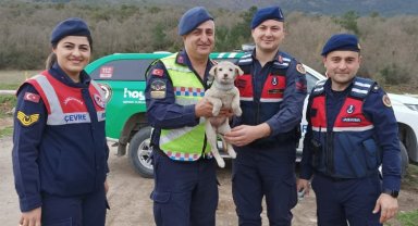 Sokak hayvanlarına Jandarma şefkati
