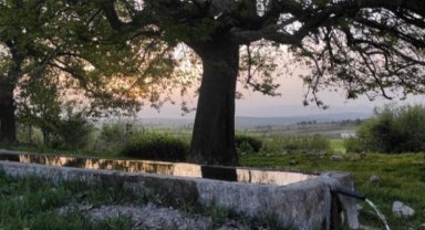 Bursa Yenişehir'de 15 yıldır dere suyu içiyorlar!