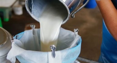 Çiğ süt üretimi yüzde 7,1 azaldı