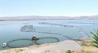 Depremzede su ürünleri yetiştiricisi ve balıkçılara destek