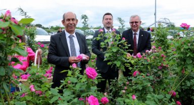 'Edirne Gülü'ne şenlikli hasat