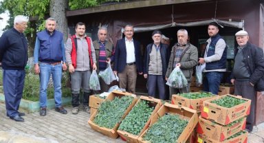İzmit'te fideler kırsala dağıtılıyor