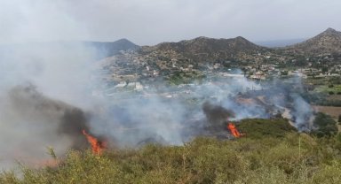 KKTC'de yangın! Rüzgarla yayıldı!