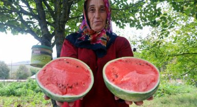 Kocaeli'den üreticilere destekler sürüyor