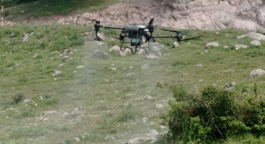Manisa'da tarla çekirgelerine 'drone'lu mücadele