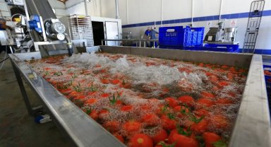 Muğla'nın ürünlerine değer katıyor