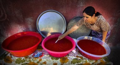 Muğla'ya GEKA destekli Salça Üretim Tesisi kurulacak