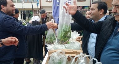 Pazaryeri Belediyesi'nden çiftçilere ücretsiz fide desteği