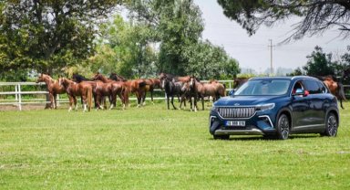 TOGG, şampiyon atlarla yarıştı