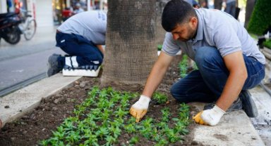 Antalya çiçek bahçesine dönecek