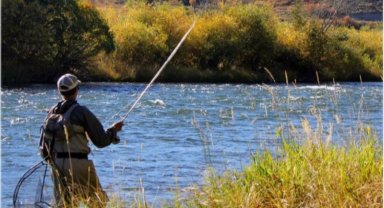 Bilecik iç sularında av yasağı sona erdi