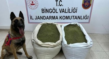 Bingöl'de uyuşturucu operasyonu
