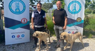 Eğitimli köpekler çiftçiye can yoldaşı olacak