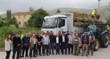 Eskişehir İnönü'de manda yetiştiricilerine balya desteği