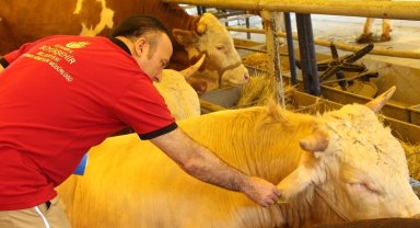 İstanbul Kurban Bayramı'na hazır