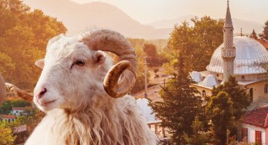 İstanbul Vakfı kurban bağışlarını başlattı