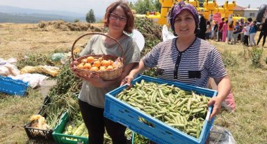 İzmit Dağköy'de araka hasat şenliği