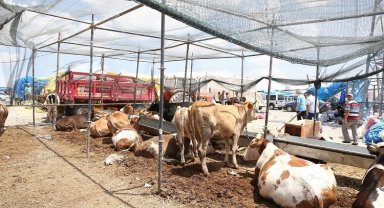 Kayseri Büyükşehir kurban tedbirlerini aldı