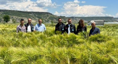 Manisa'da tohumların verimliliği yüzleri güldürüyor