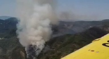 Muğla Marmaris'teki orman yangını sürüyor