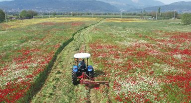 Muğlalı üreticilere 4 bin 500 kaba yem balyası dağıtılacak