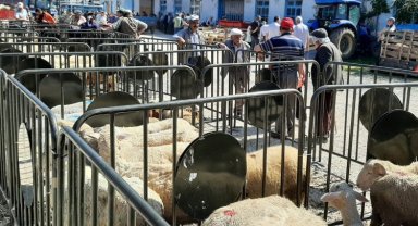 Pazaryeri'nde kurban satış yerine denetleme