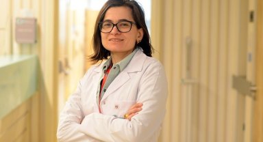 Popüler kültür şiddete dayalı