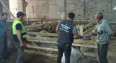 Rize'de kurban yerlerinde dezenfeksiyon