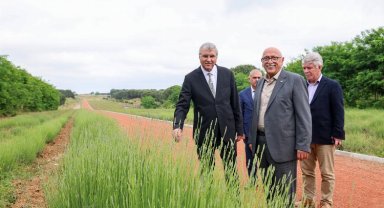 Sakarya Botanik Park vadiyi yaşam merkezi yapacak